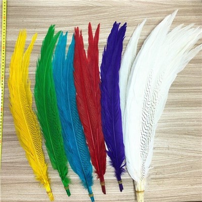 Turkey Feather for Handicraft